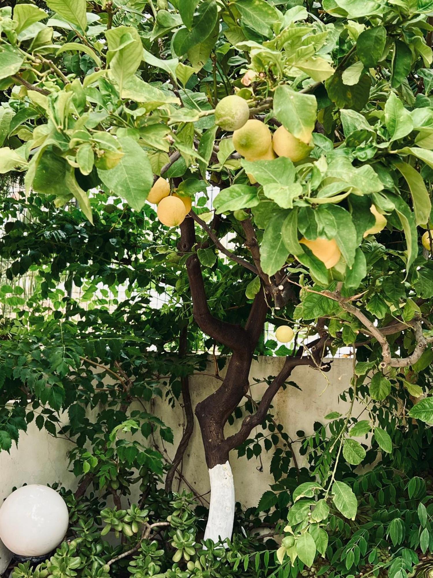 Appartamento Bella Vista Bali  Esterno foto